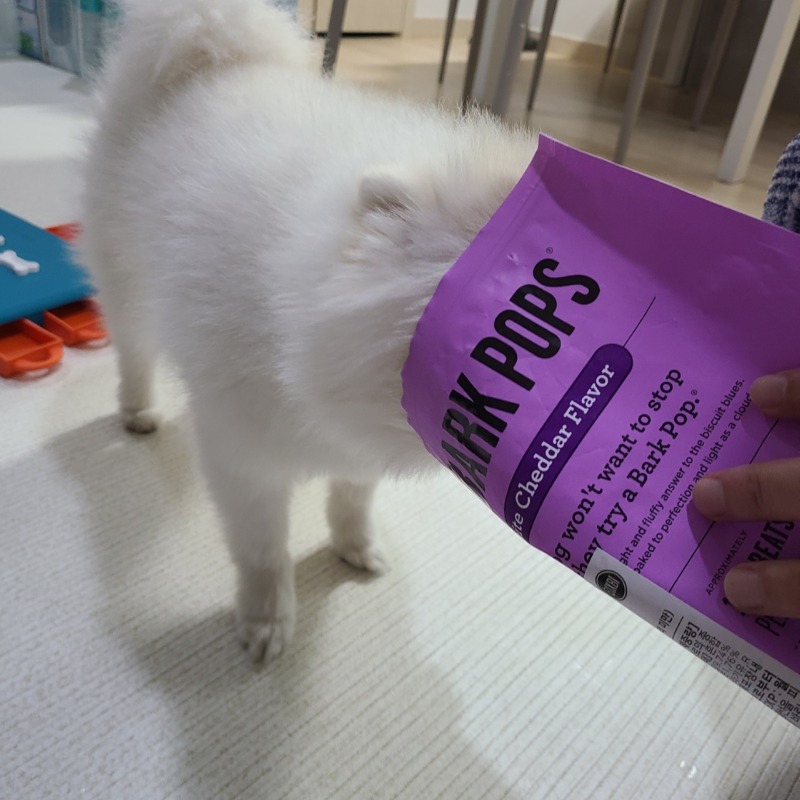 KakaoTalk_20220325_152833146.jpg