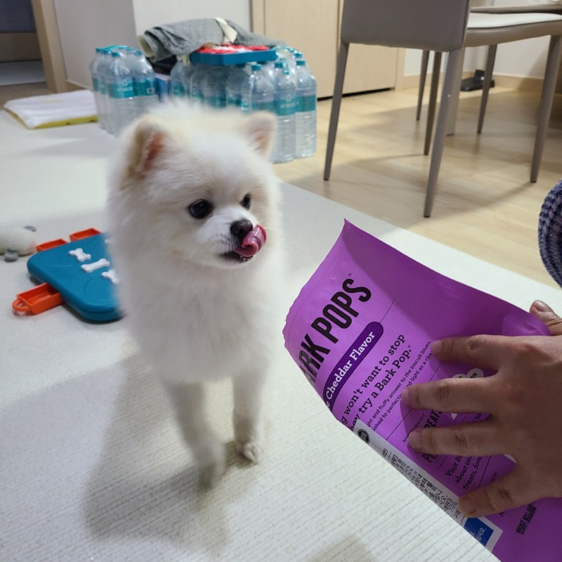 KakaoTalk_20220325_152833146_01.jpg