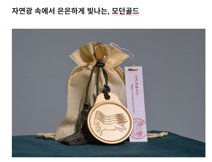 인기 폭발중인 마패 교통카드