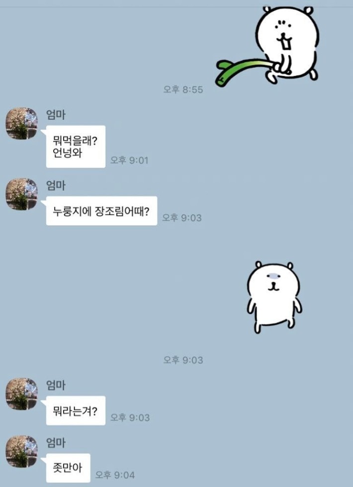 엄마와의 카톡 시리즈 