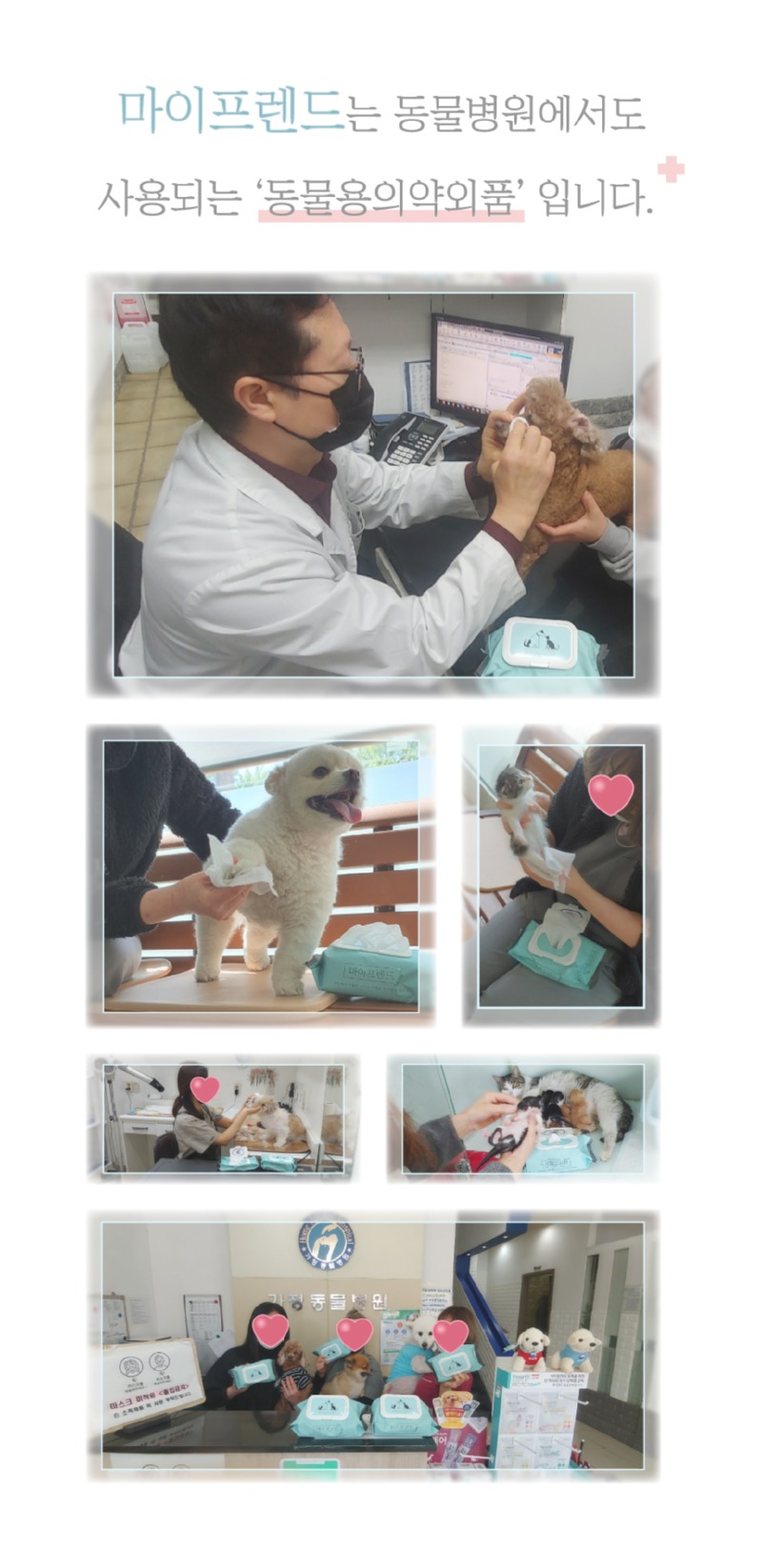 동물병원 이미지.jpg