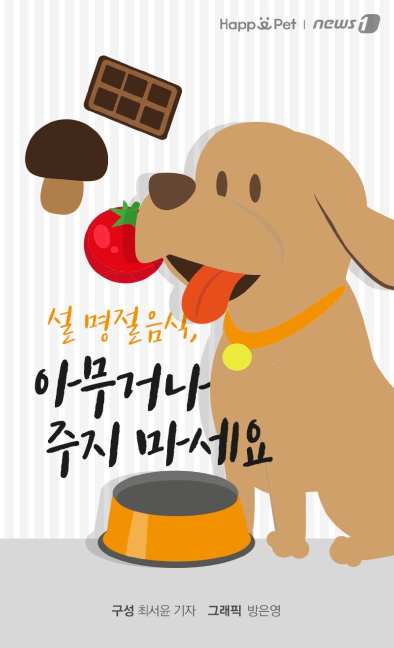 강아지가 절대로 먹으면 안되는 음식 