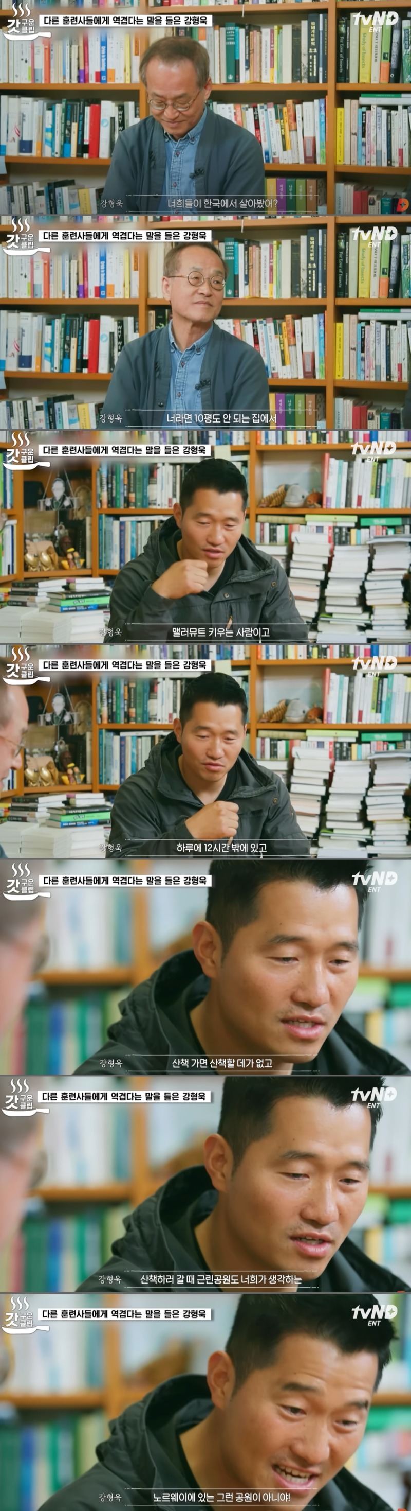 국내 도입이 시급한 반려동물 관련 법 (장문 주의)