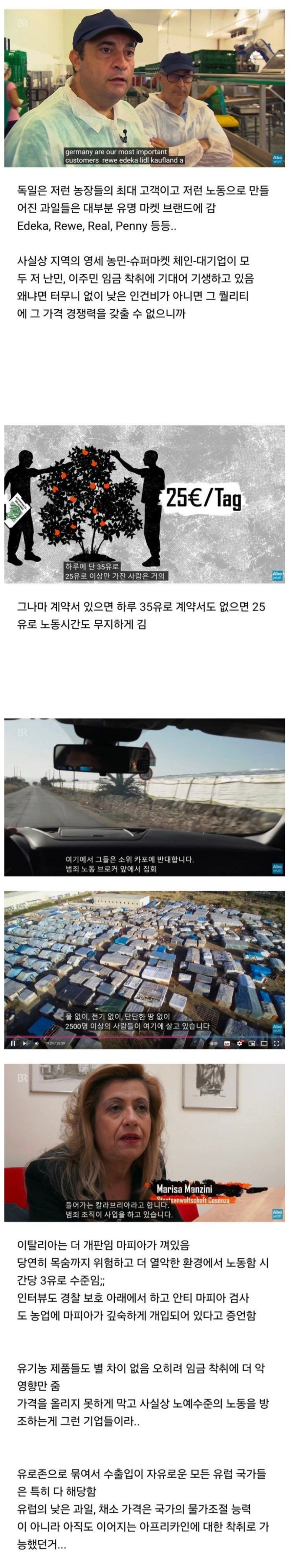 유럽 채소들이 저렴할 수 있는 이유 
