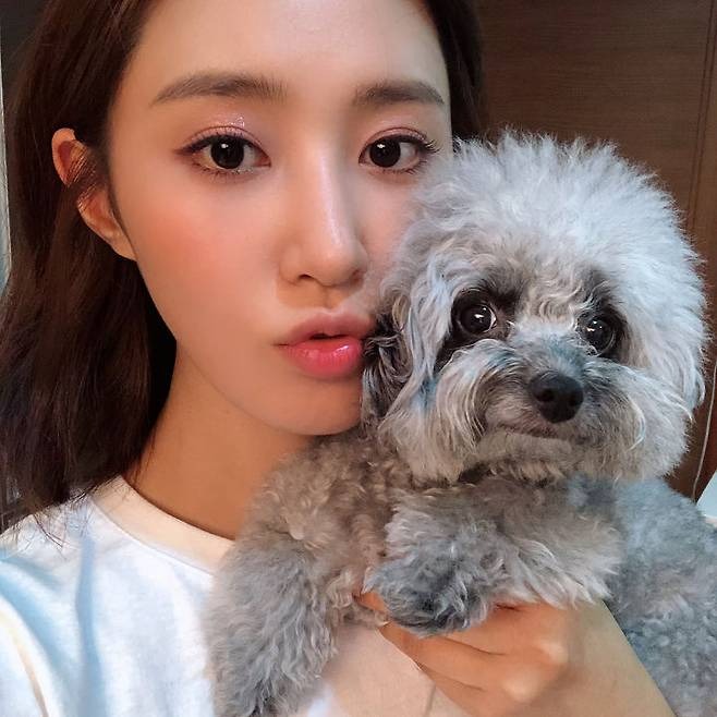연예인, 인플루언서들이 키우는 반려견 