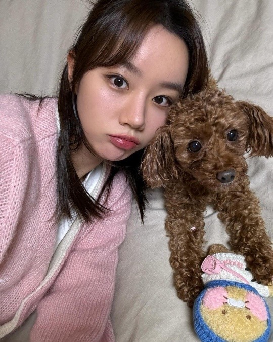 연예인, 인플루언서들이 키우는 반려견 