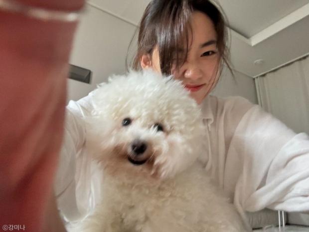 연예인, 인플루언서들이 키우는 반려견 
