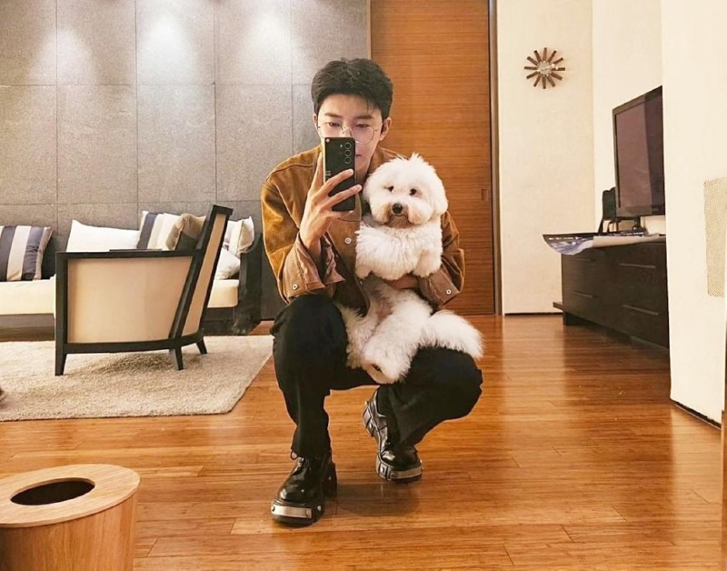 연예인, 인플루언서들이 키우는 반려견 