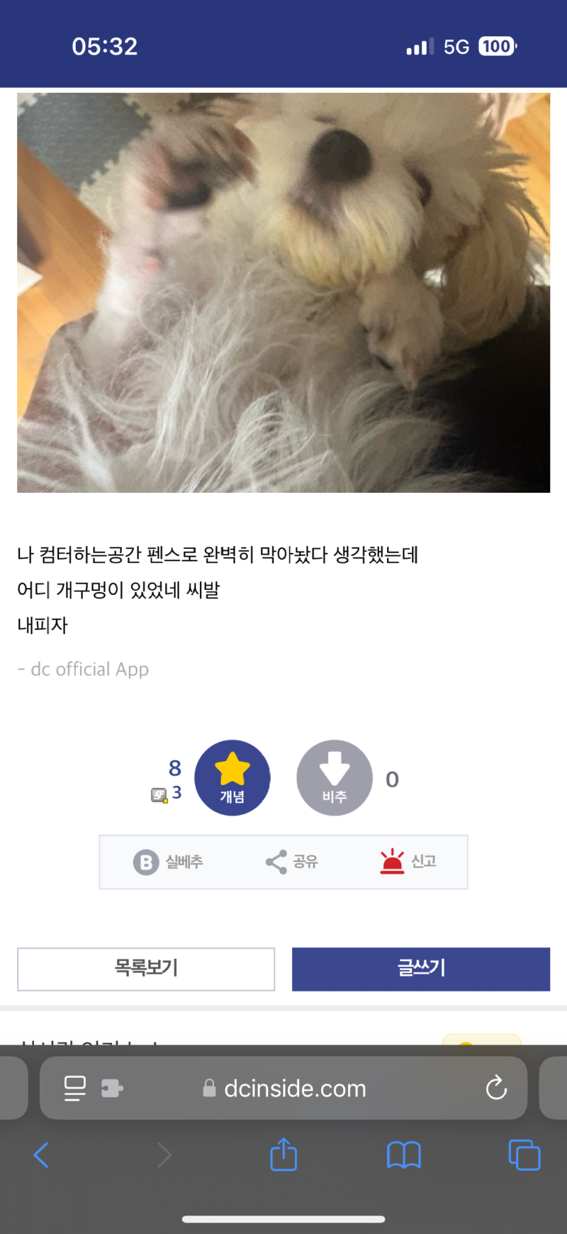 피자 훔쳐먹은 댕댕이 