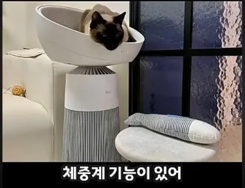 고양이 집사들을 타겟으로 만든 LG 신제품 