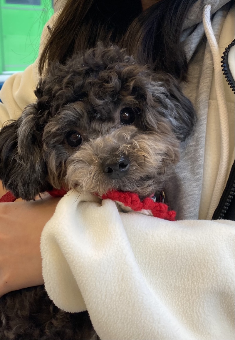 추울땐 언니 품이 체고❤️