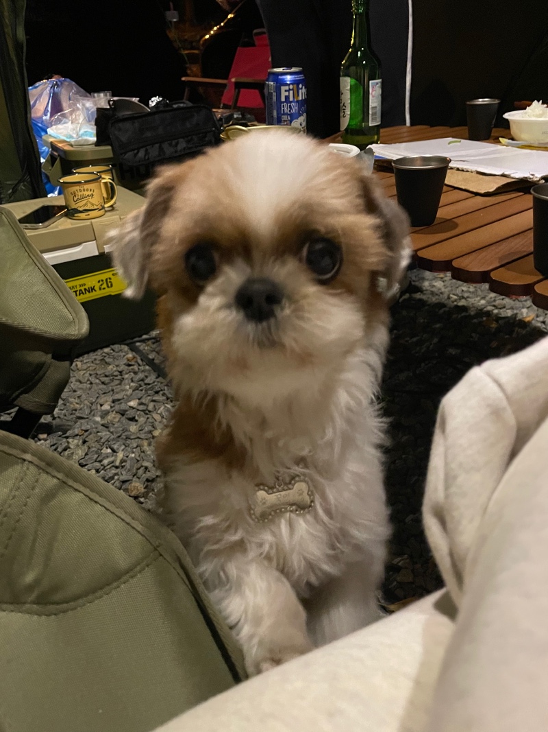 헤헤