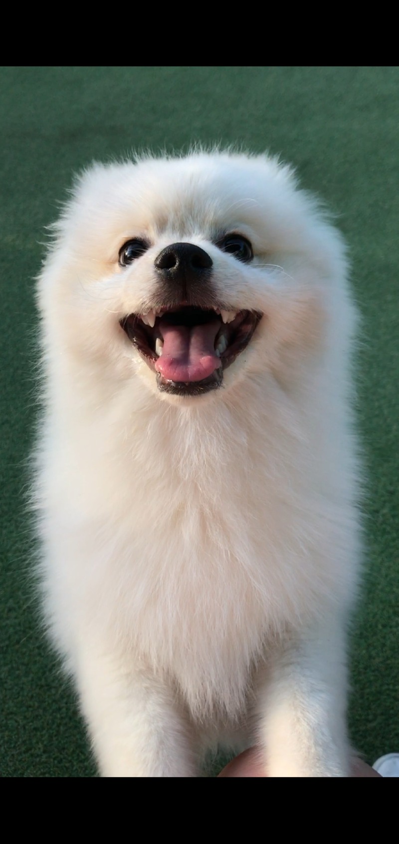 복이