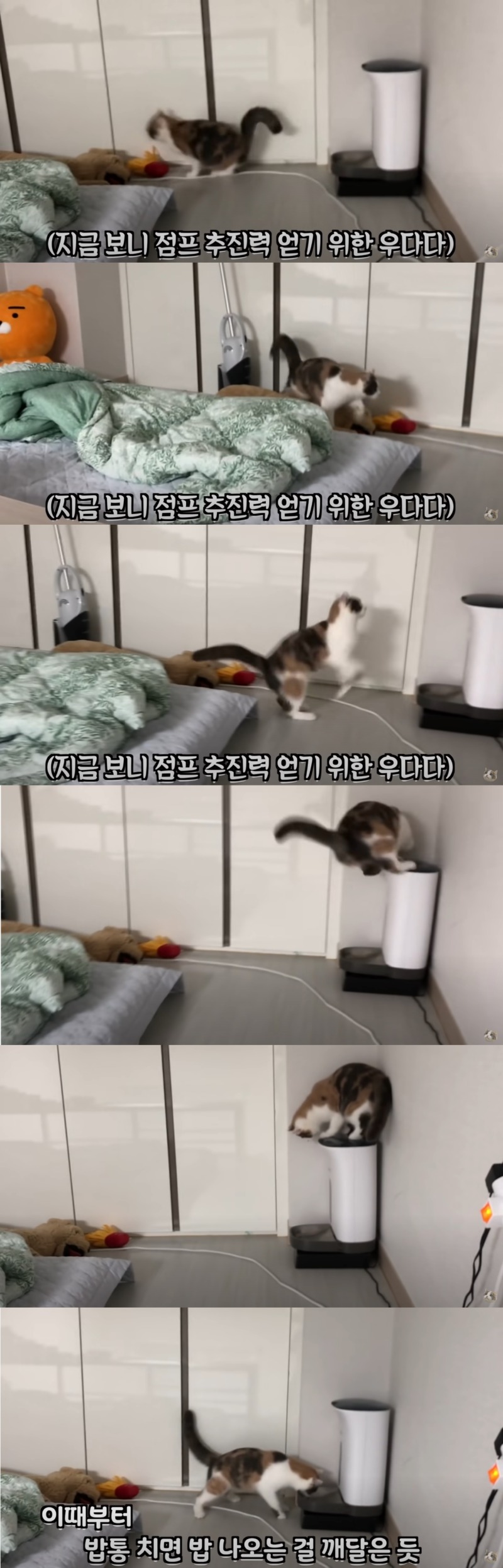 재밌는 동물 유튜브 채널을 알아보자 