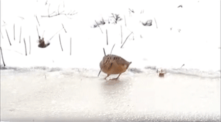 둠칫 둠칫 두둠칫