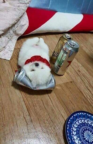 아 개취한다 