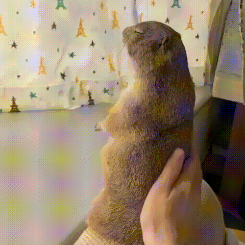응...? 멈춰...??
