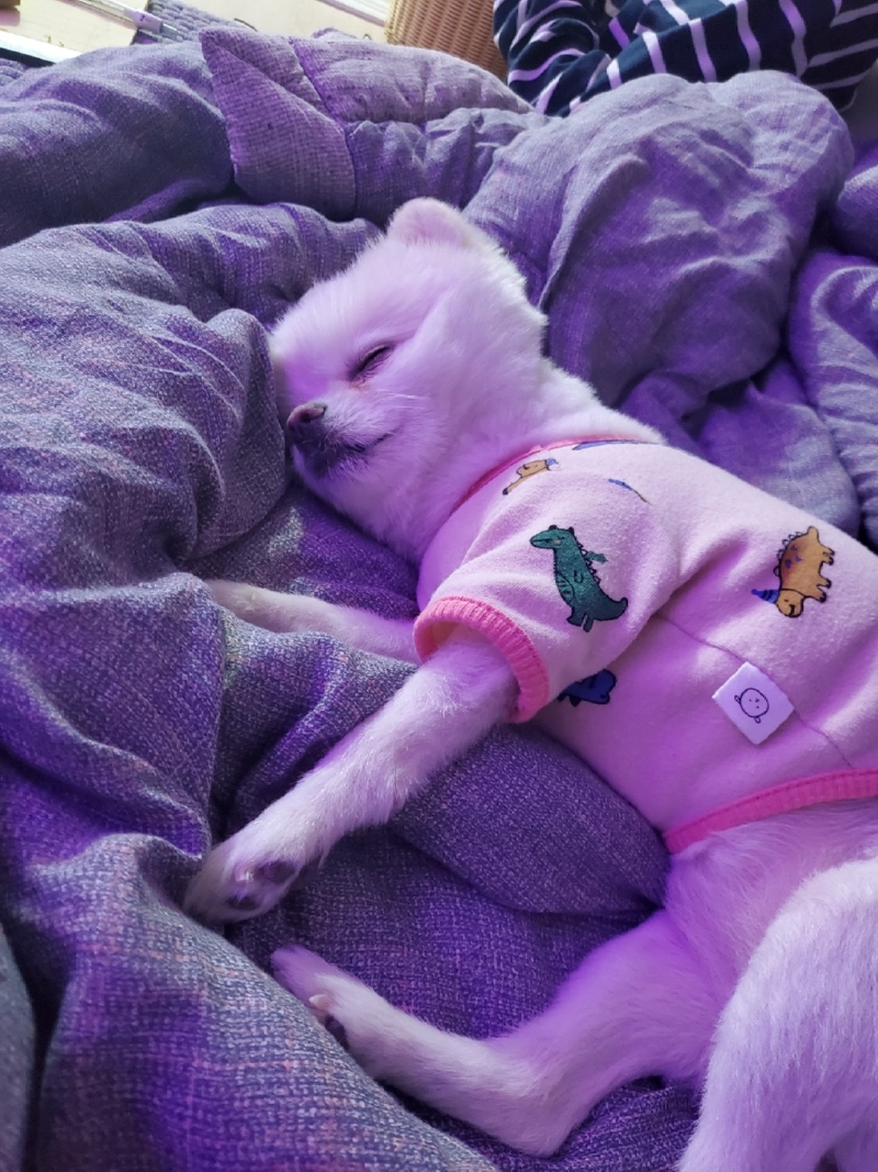앵순❤︎ 