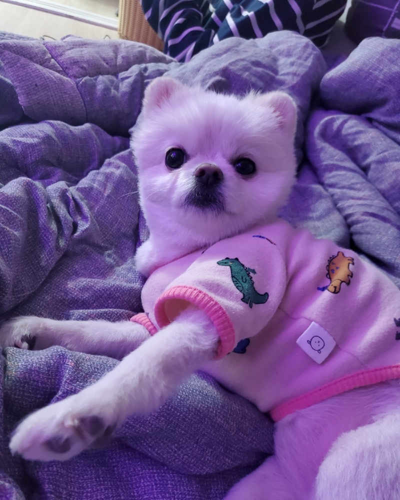앵순❤︎ 
