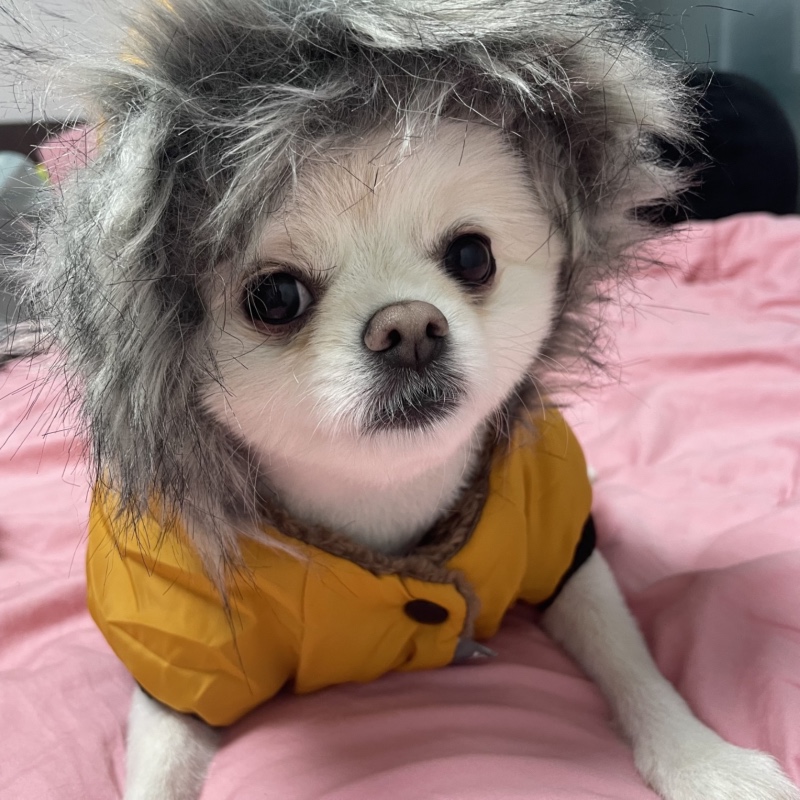앵순❤︎ 