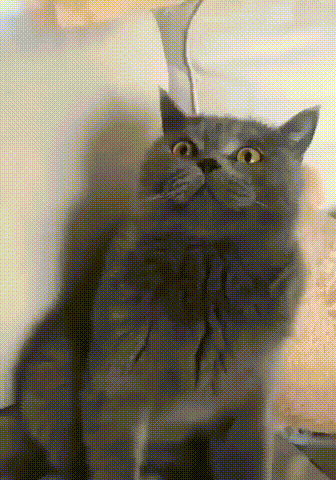 이거 한 번 써봐ㅋㅋㅋ