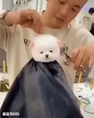 까다로운 손님 