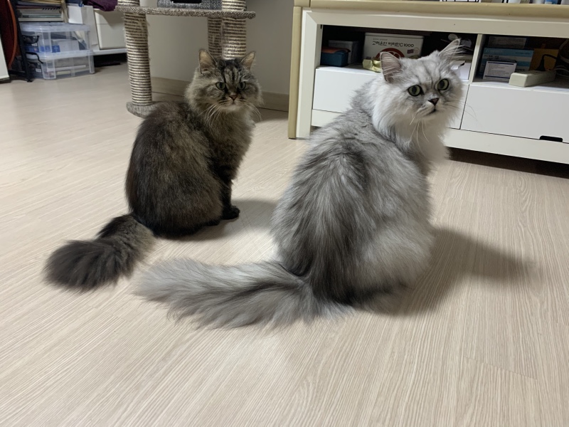 안녕하세요^^