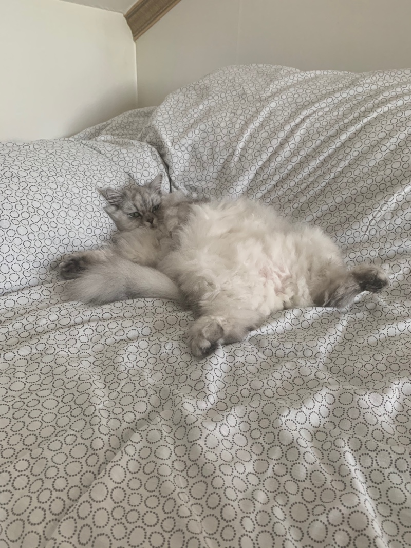 안녕하세요^^