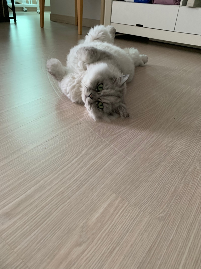 안녕하세요^^