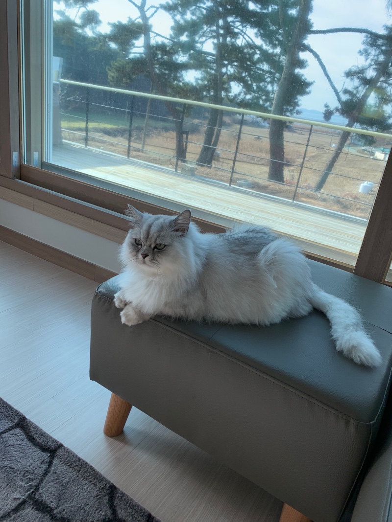 안녕하세요^^