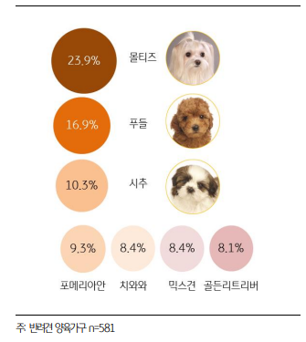 가장 많이 키우는 강아지 품종 순위