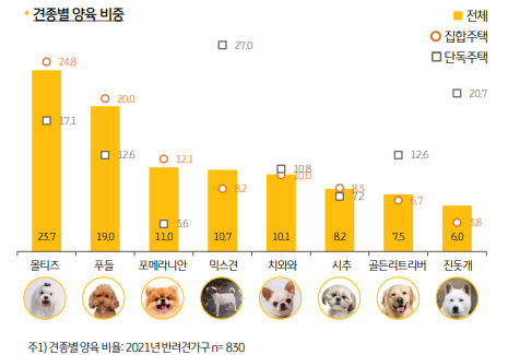 가장 많이 키우는 강아지 품종 순위