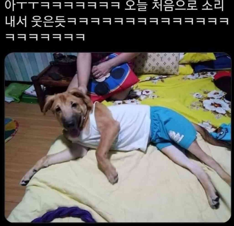 너가 그걸 왜입고 있어??