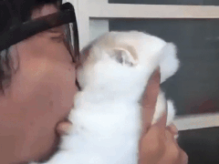 고양이 뽀뽀