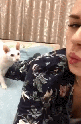 고양이 뽀뽀