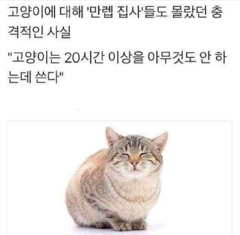 이게 사실인가요?