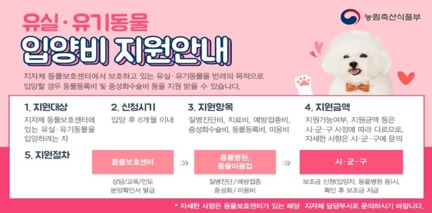 반려동물, 사지 말고 입양하세요.