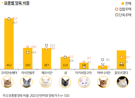 가장 많이 키우는 고양이 품종 순위
