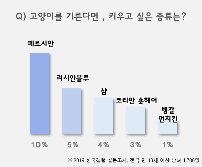 가장 많이 키우는 고양이 품종 순위