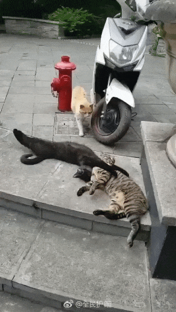 불륜현장 검거장면