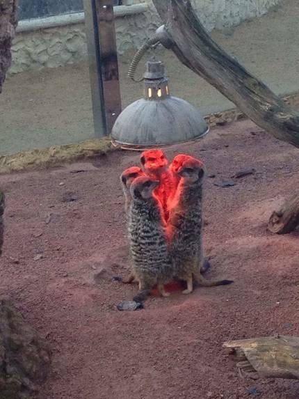 오늘 진짜 너무춥네요