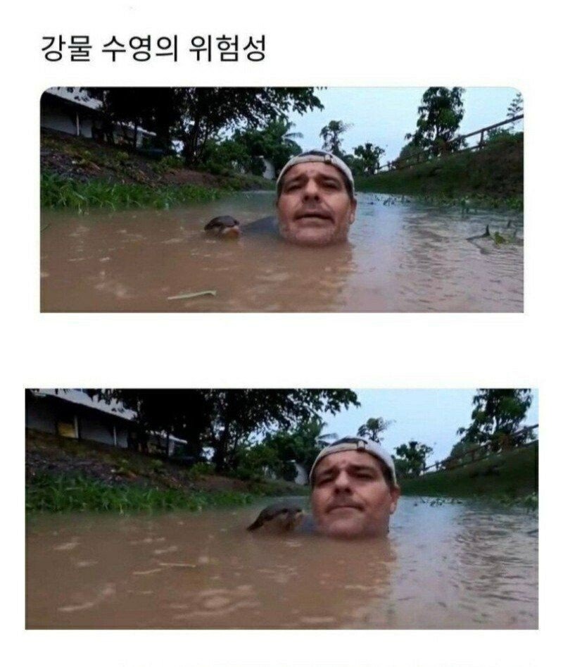 강물 수영의 위험성