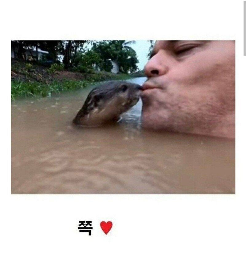 강물 수영의 위험성