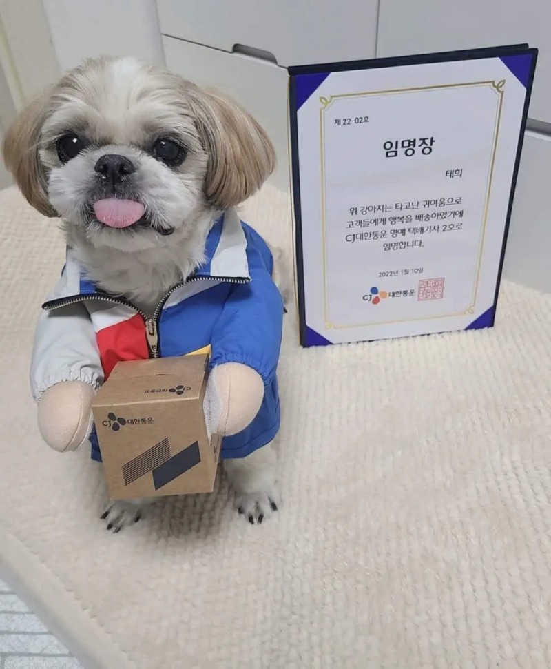 실시간 취뽀
