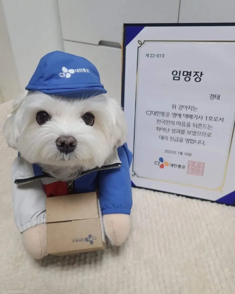실시간 취뽀