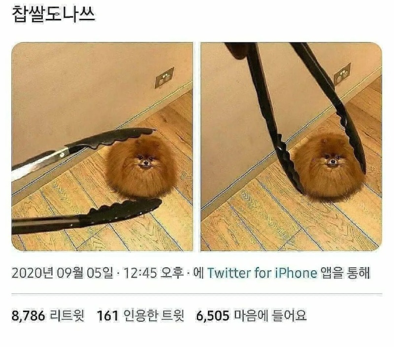 찹쌀도나쓰
