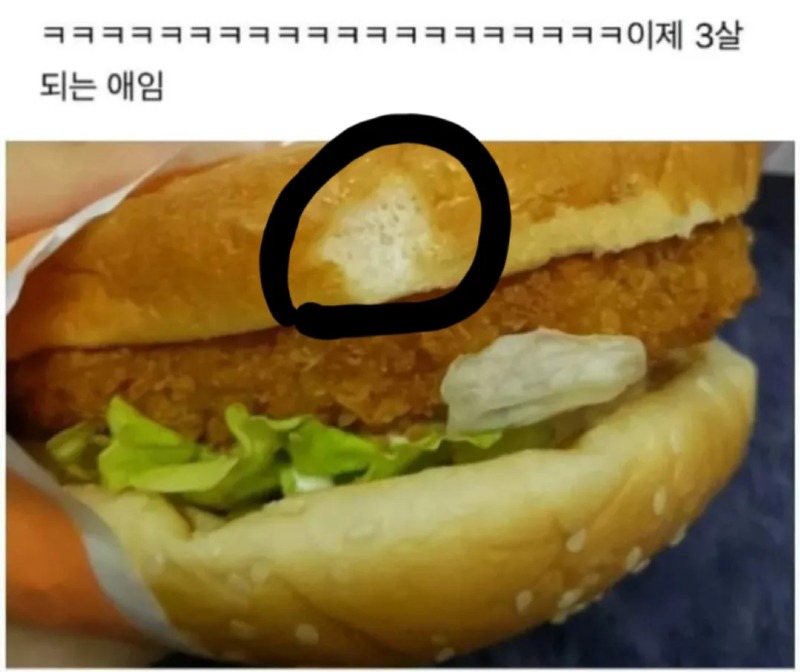 아놔 동생이 햄버거 한입 뺏어먹음 