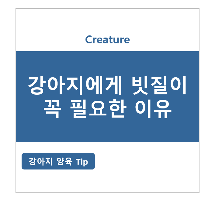 강아지에게 빗질이 꼭 필요한 이유 (브러싱이 필요한 이유) 