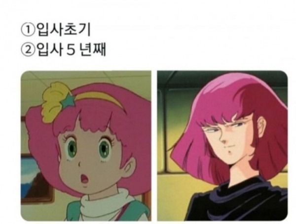 직장인들의 입사 전 후 차이