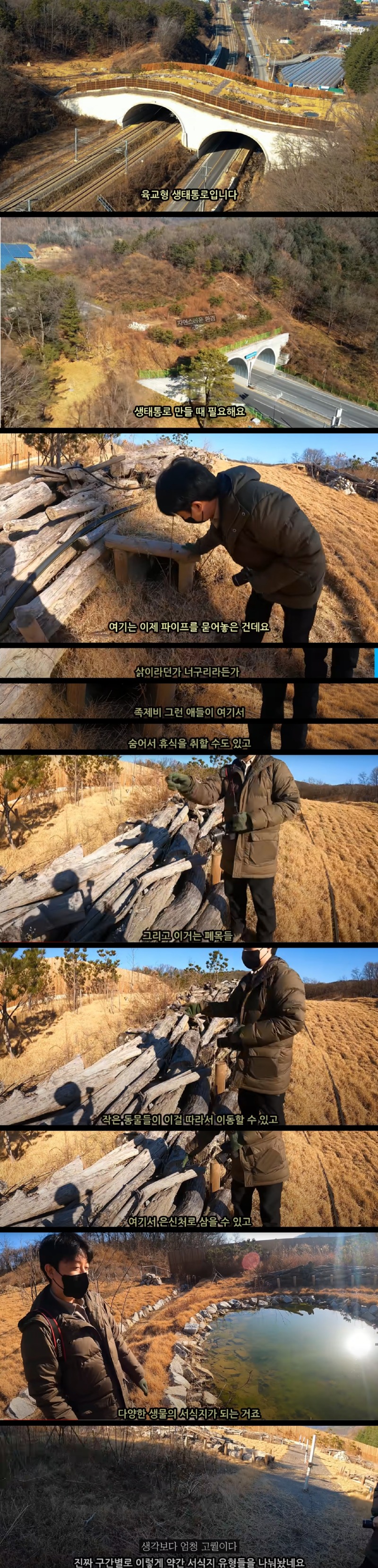 생태통로 60일 관찰, 정말로 야생동물들이 지나갈까? - 유튜버 새덕후님